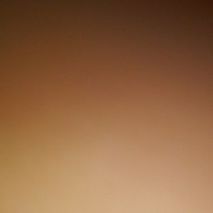 Meet your Posher, Daisy